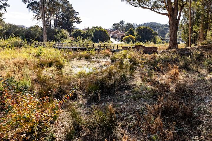 Water flowing at MacArthur Meadow, with the boardwalk over the wetland.