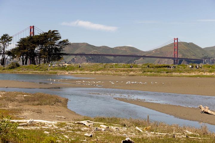 Low tide at Crissy Marsh with Golden Gate Bridge views.